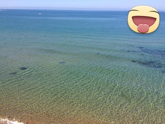 Grand Hotel Dei Cesari Dependance Anzio Dış mekan fotoğraf